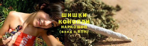 spice Гусев