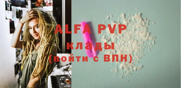spice Гусев