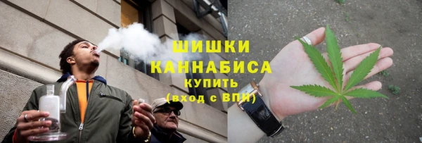 spice Гусев