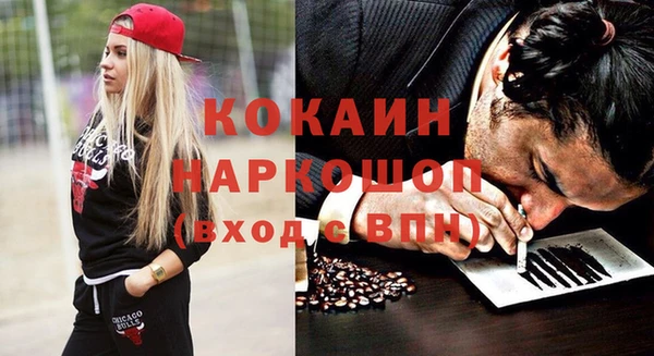 spice Гусев
