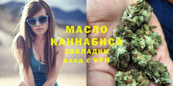 spice Гусев