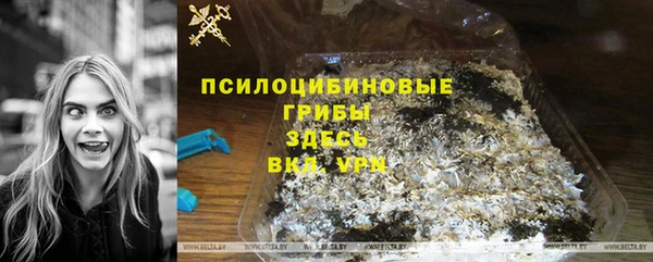 spice Гусев