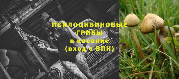 гашишное масло Гусиноозёрск