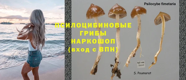 не бодяженный Гусь-Хрустальный